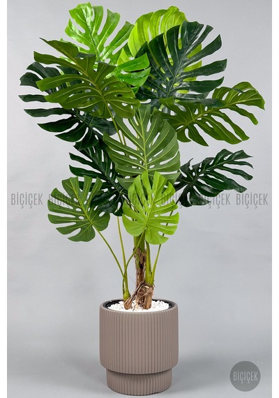 Biçiçek Yapay Monstera Ağacı Deve Tabani 160 Cm Mocha Vega Saksıda
