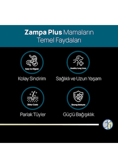 Zampa Plus Somon Etli & Hamsili Premium Yetişkin Kedi İçin Kuru Mama 15 KG