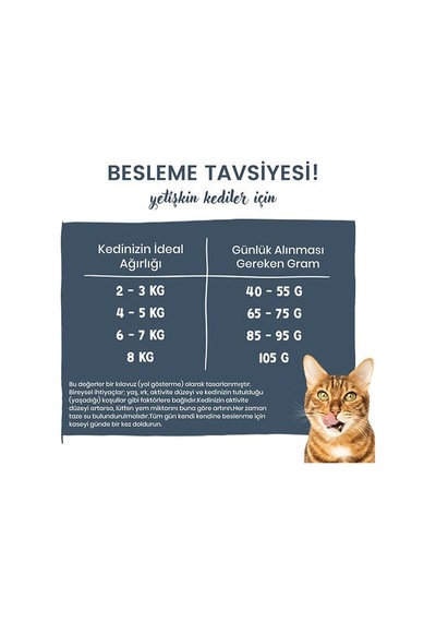 Sanabelle Life Alabalıklı Ve Yaban Mersinli Yetişkin Kuru Kedi Maması 400 Gr