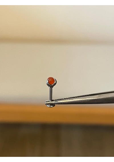 316 L Cerrahi Çelik Pençe Modeli Turuncu Taşlı Kıkırdak Helix Tragus Piercingi Turuncu