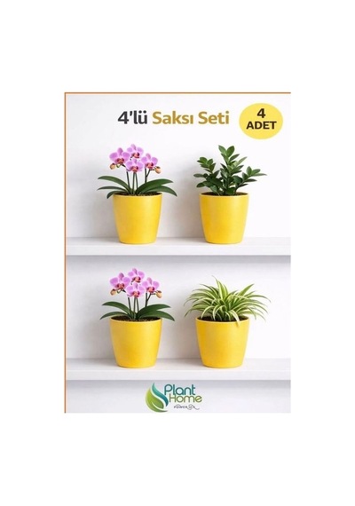 Hüskon Ticaret 4 Lü Sarı Dekoratif Saksı Seti 4 Adet Iç Saksı + 4 Adet Dış Saksı