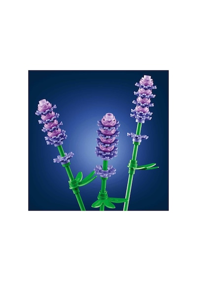 Botanicals Papatyalar 11508