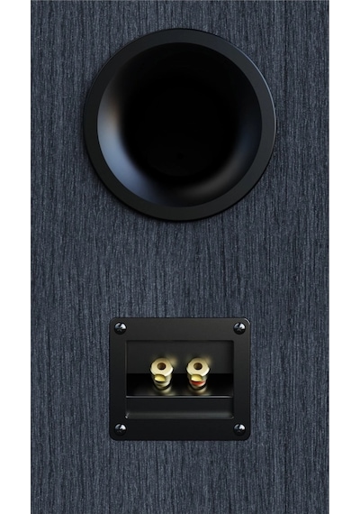 Debut 3.0 Db63-bk Raf Tipi Hoparlör