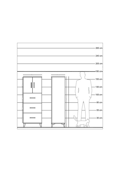 Hyperion Dolap 2 Raflı 3 Çekmeceli 2 Kapaklı 60x44x163 Çam-ay... Çam