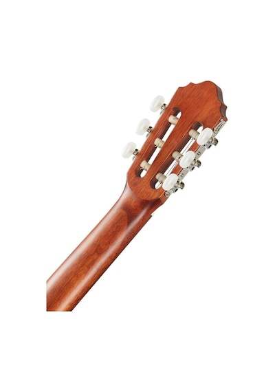 Cort Ac100sg Klasik Gitar Başlangıç Seviye Ladin Kapak, Gelen
