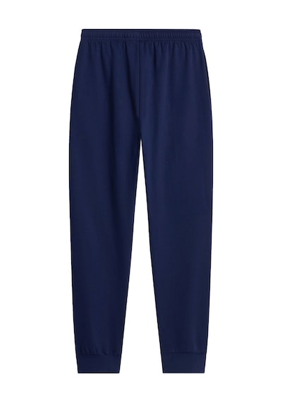 The North Face M Evolutıon Sımple Dome Regular Jogger Erkek Pantolon Nf0a8cwy8k21 Lacivert