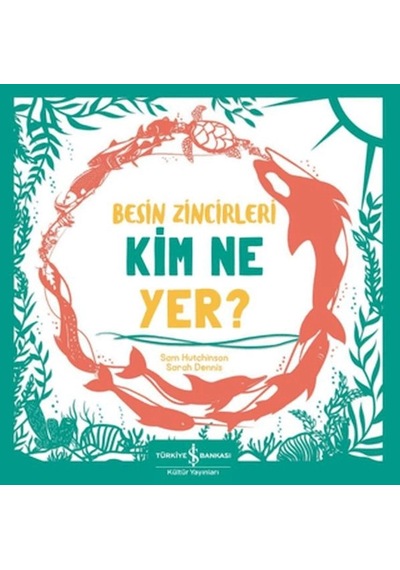 Besin Zincirleri Kim Ne Yer