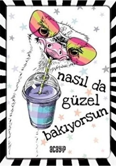 Havalı Tembel Hayvan Defter - Çılgın Defterler