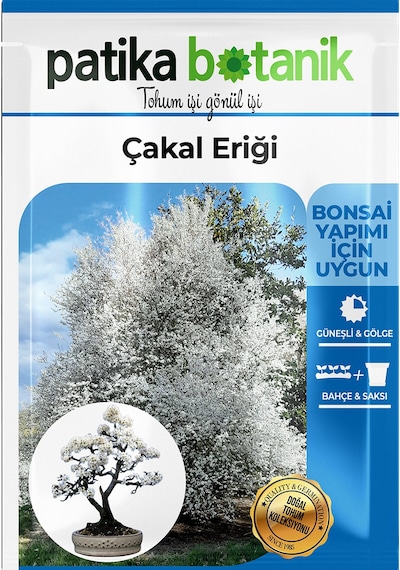 30 Adet Dağ (Güvem-Domuz) Eriği Ağaç Tohumu