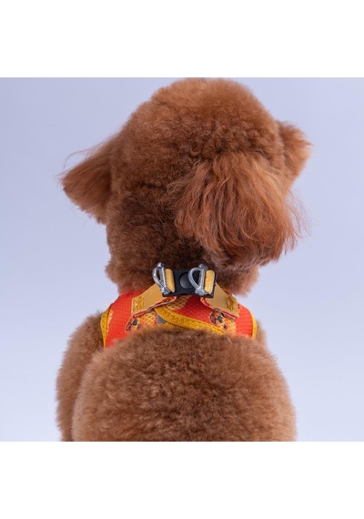 Poodle Air-mesh Göğüs Tasması Kedi Köpek Göğüs Tasması Turuncu