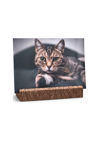Kartlık Stand Fotoğraf & Not Tutucu Masa Üstü 3d Baskı