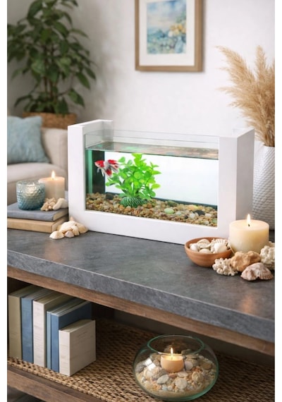 Reyo Ok-ay Store Beta Balığı İçin Ahşap Mini Akvaryum Modern Şık Doğal Minimal Tasarım Akvaryum Beyaz