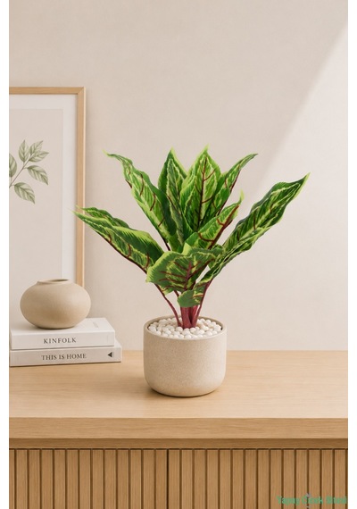 Yapay Çiçek Sitesi Yapay Kalatya Bitkisi 38cm Açık Yeşil