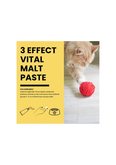 Malt Paste 3 Etkili Kedi Macun 100 Gr 2 Adet