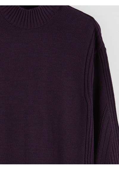 Lcw Modest Mor Yarım Balıkçı Yaka Kadın Triko Tunik