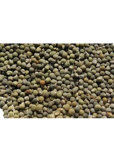 Botanik Sağlık Bamya Tohumu 250 G