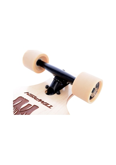 Tempish Coon Longboard Çok Renkli