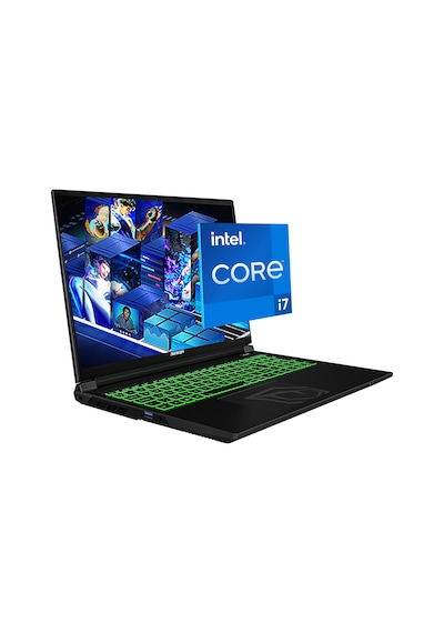 Monster Tulpar T6 V3.3.10 i7-13700HX 24 GB 1 TB SSD RTX5060 16" W11P Dizüstü Bilgisayar