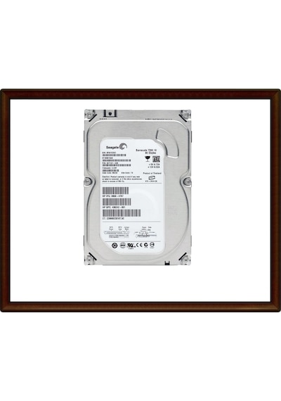 Seagate ST380815AS 3.5" 80 GB 7200 RPM Sata 2 HDD