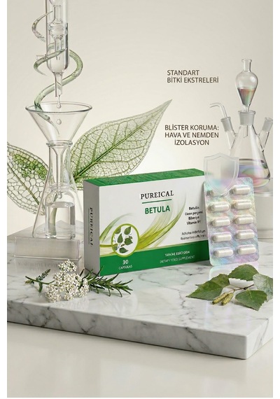 Pureıcal Betula Huş Ağacı Özü Betulin Civan Perçemi Biberiye B1 Vitamini 30 Kapsül