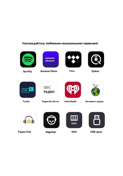 Arylic S10+ Kablosuz Müzik Akış Cihazı 271121980