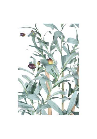 Yapay Çiçek Sitesi Plastik Saksıda Bambulu Zeytin Ağacı 80 Cm Yeşil