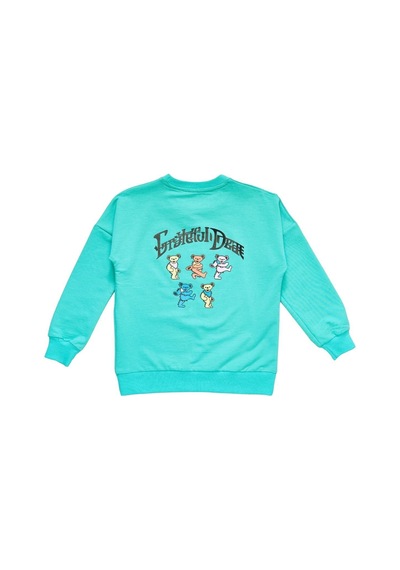 İrem Çocuk Giyim Kız Çocuk Önü Yazı Arkası Resim Baskılı Bisiklet Yaka Sweatshirt Su Yeşili Su Yeşili İrem Çocuk Giyim Kız Çocuk Önü Yazı Arkası Resim Baskılı Bisiklet Yaka Sweatshirt Su Yeşili Su Yeşili