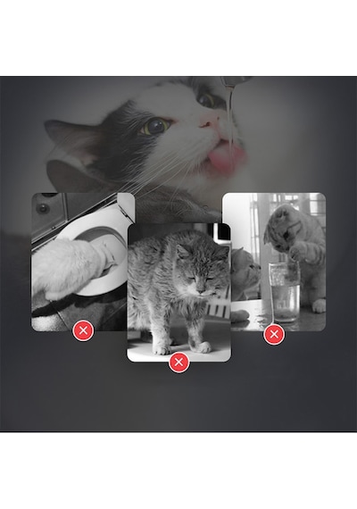 Techtic Kedi Köpek İçin Sessiz Su Çeşmesi Otomatik Su Pınarı Usb