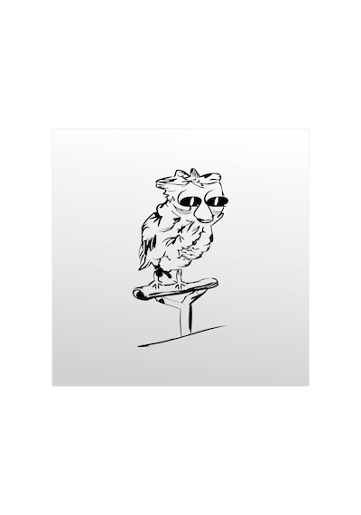 Folyo Sticker Baykuş 70cm Uzunluk Siyah