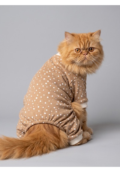 Latte & Matcha Kedi Rüyası Pamuklu Kedi Tulumu, Polar Sweatshirt Ve Mini Yastık 3 Parça