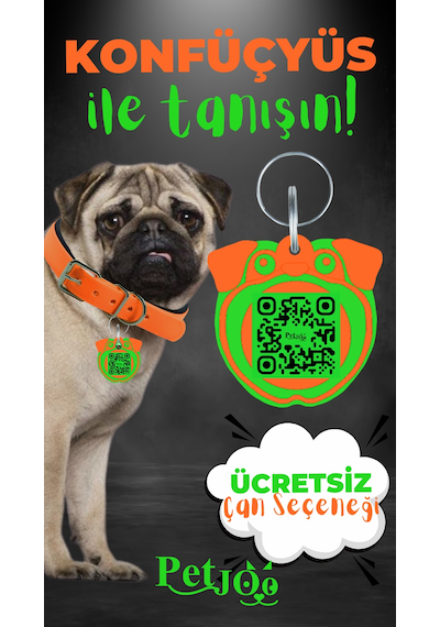 Petjoo 9.Konfüçyüs Yeşil-Turuncu Qr'lı Köpek Künyesi