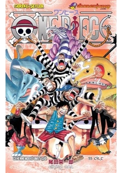 One Piece 55. Cilt