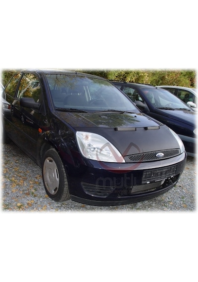 Ford Fiesta (02-08) Kaput Maskesi (198124548)