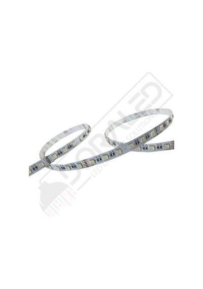 Rgbww Strıp Şerit Led Rgb+ Beyaz 5050 Ip20 Mt 60 Led 5mt 24v