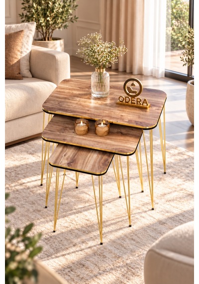 Odera Çift Ceviz Orta Sehpa Ve Zigon Sehpa 4'lü Set Metal Tel Ayaklı Modern Retro Salon Sehpası Diğer