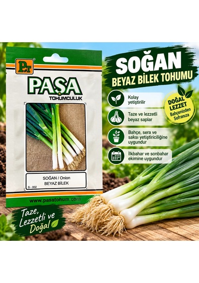 Beyaz Bilek Soğan Tohumu 5 Gram