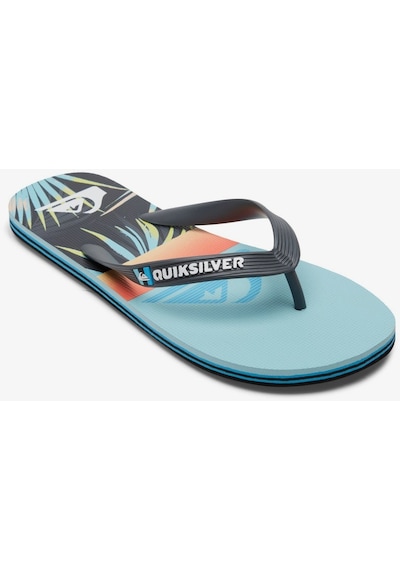 Quiksilver Erkek Parmak Arası Desenli Terlik Aqyl101263 Çok Renkli