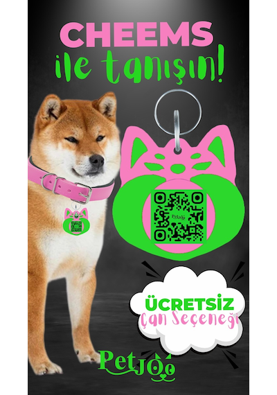 Petjoo 18.Cheems Yeşil-Pembe Qr'lı Köpek Künyesi