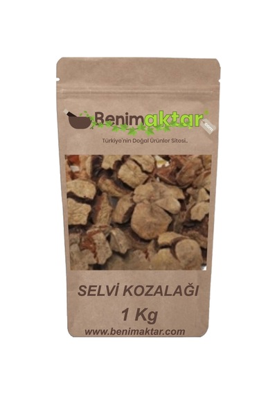 BenimAktar Selvi Kozalağı 1 KG