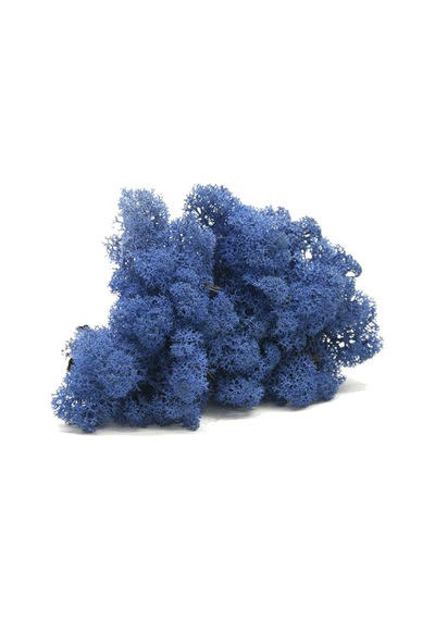 Trend Bahçe Reindeer Moss Mavi Şoklanmış Norveç Yosunu 500 G