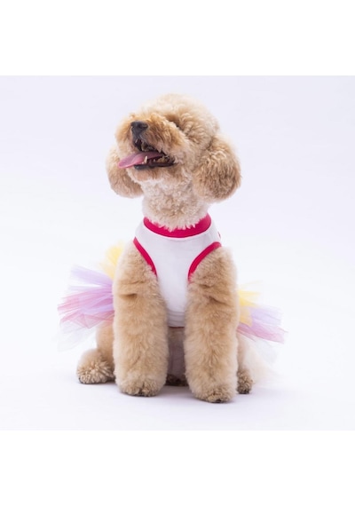 Happy Birthday Kedi Köpek Elbisesi - Kedi Köpek Kıyafeti