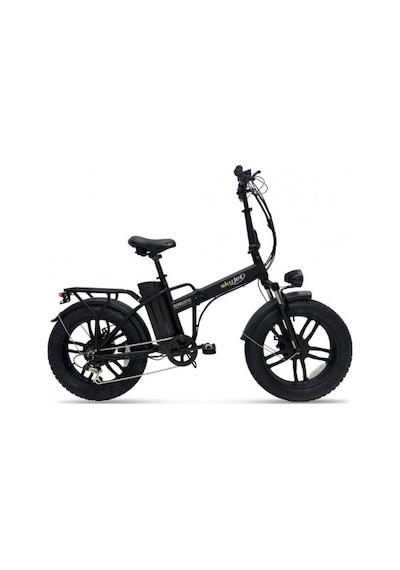 Skyjet Robusto Pedal Destekli Elektrikli Bisiklet Siyah Siyah