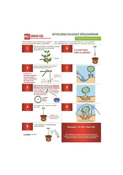 Fidan Köklendirme Hormon East Root® Iba ÇözeLi 250 Cc 8000Ppm