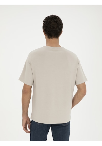 Taş Slim Fit Bisiklet Yaka T-shirt Gri