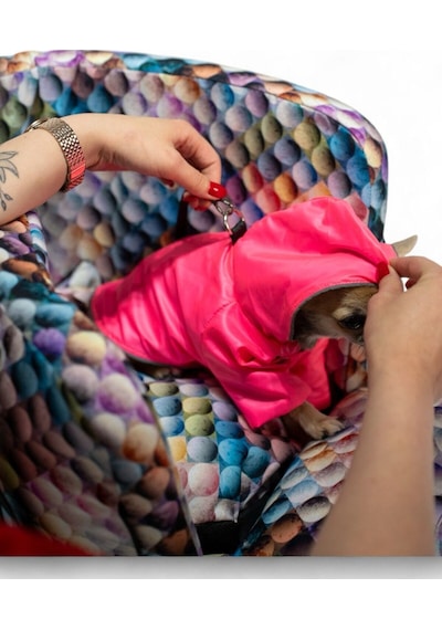 Patilinka Kedi Köpek Taşıma Çantası Çok Renkli Tasma Kancalı Oto Koltuğu - Taşıma Çantası