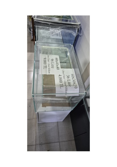 60x40 Fish Jumping File Yeşil