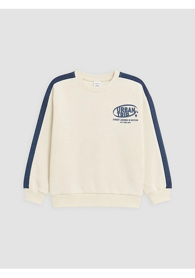 LC Waikiki Lcw Kids Bej Bisiklet Yaka Baskılı Erkek Çocuk Kalın Sweatshirt Lıght Beıge