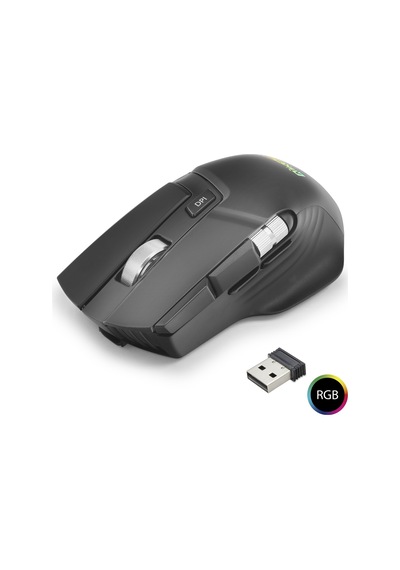 W13 Kablosuz Mouse Dual Mod 10000 Dpi 10 Tuş 1000 Hz Rgb - Siyah