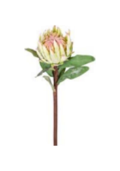 Yapay Çiçek Protea Çiçeği Yeşil 60 Cm. Çok Renkli