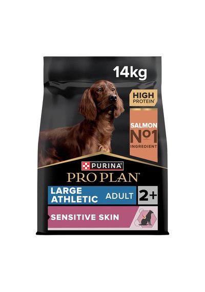 Large Athletic Adult Somonlu Köpek Maması 14 Kg